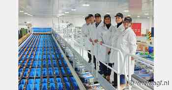 "Spaans tomatenaanbod onder druk"