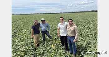 "Met de conventionele meloenenboot kunnen we het verschil maken richting de klant"