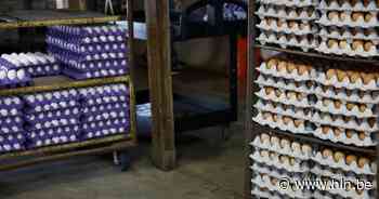 Plafond nog niet bereikt: prijs van eieren in ons land overschrijdt opnieuw record