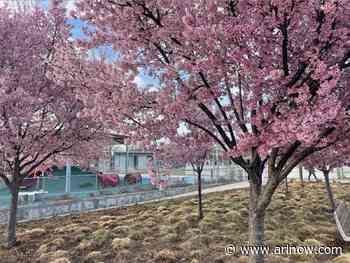 Morning Notes for March 18, 2025