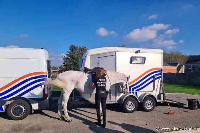 Extra patrouilles te paard om inbraakcijfers naar beneden te halen