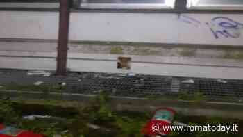 Raid a scuola: spaccano i vetri con gli estintori, poi la fuga a piedi