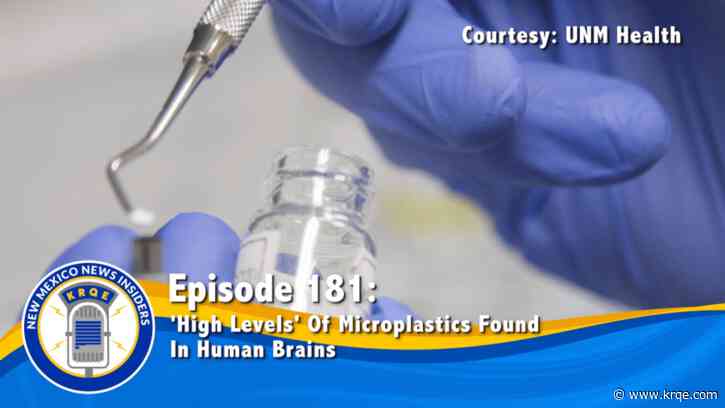 'High Levels' Of Microplastics Found In Human Brains
