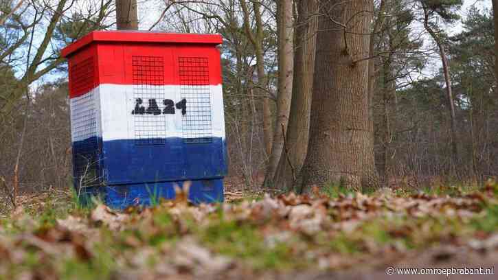 Elektriciteitskasten massaal beklad, Enexis is op zoek naar de daders