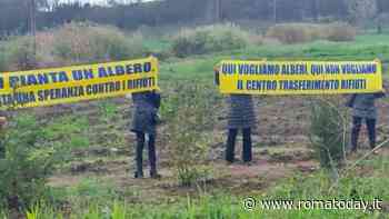 Pini e abeti piantati contro l'impianto dei rifuti a Casal Selce
