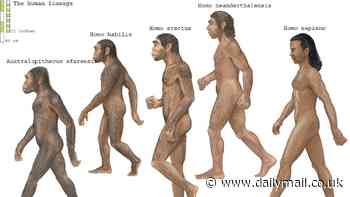 Scientists discover a 'hidden chapter' in human evolution - and it suggests our history is MUCH more complex than we thought