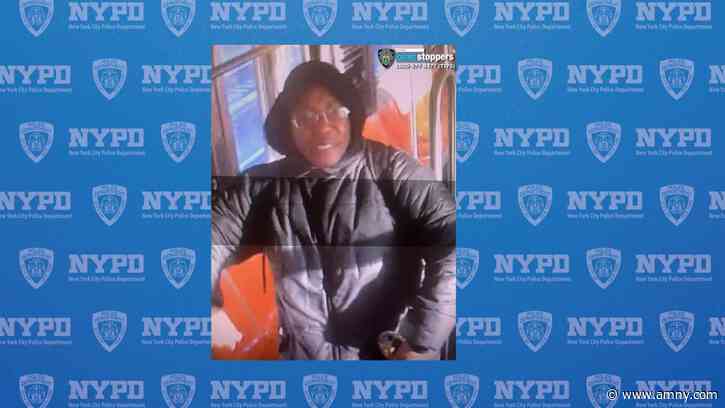 Bronx subway assault: Man wanted for shoving woman off 1 train and onto platform