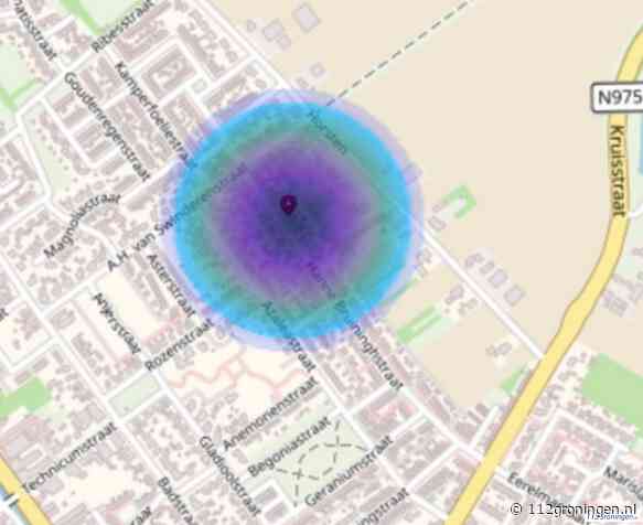 Kat beschoten met luchtbuks in Musselkanaal, `wie doet zoiets?`