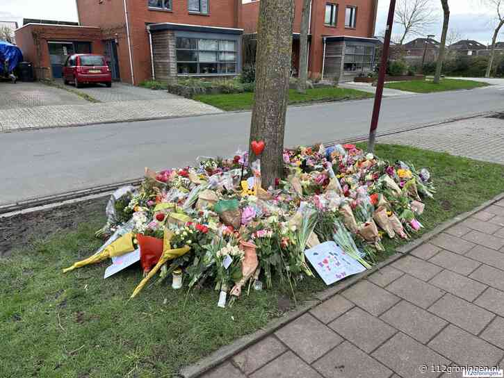 OM eist 12 jaar gevangenisstraf en TBS voor moord op 17-jarige Jet (update)