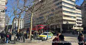 Woman dies as pedestrians hit by van near The Strand in central London