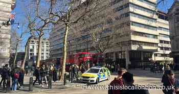 Woman dies as pedestrians hit by van near The Strand in central London