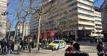 Woman dies as pedestrians hit by van near The Strand in central London