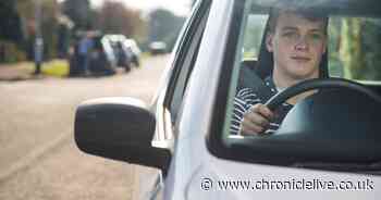 Certain DWP claimants could get free driving lessons - how to apply