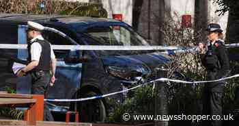 Suspected drug driver arrested after woman hit by van dies in central London