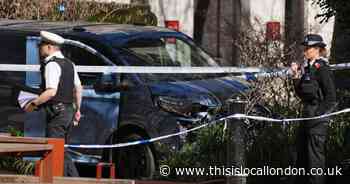 Suspected drug driver arrested after woman hit by van dies in central London