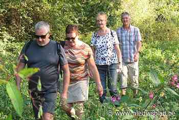 Opnieuw commotie over omstreden afschaffing van voetweg, belangengroep roept op om bezwaarschriften in te dienen
