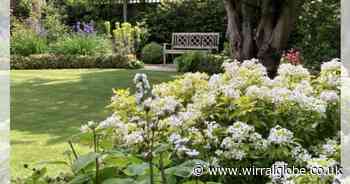 Chance 'to wander around and enjoy' Caldy's open gardens for charity