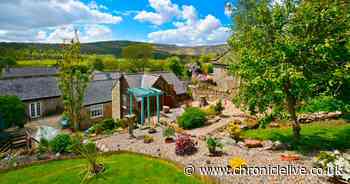 The 'wonderful' Northumberland holiday cottage where you can stargaze without leaving your bed