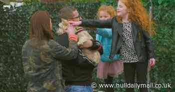 Channel 4 looking for Hull families wanting to rehome a rescue dog to star in TV show