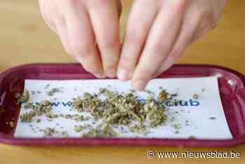 Franse dertiger vervolgd voor cannabissmokkel