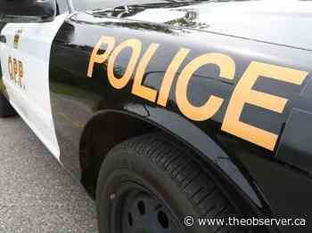 Three people hit with pellet gun in Petrolia