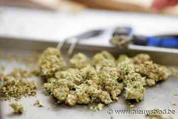 Franse vrouw riskeert 36 maanden cel voor smokkel 13 kilo cannabis