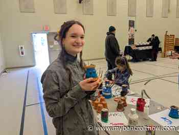 Bee baths, turtles and more at Seedy Saturday event in Maynooth