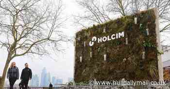 Huge billboard in central London is entirely edible for local wildlife