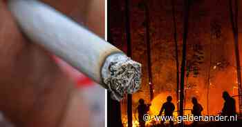 Peukie opsteken in het bos? Dat mag hier nu écht niet meer, anders kan je voor drie maanden de bak in gaan