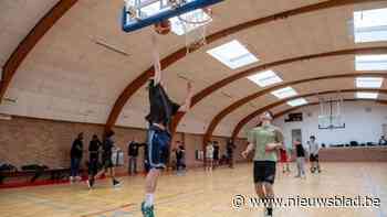 Baskebalclub Willibies zoekt kwalitatieve basketschoenen voor spelers: “Een constante nood”