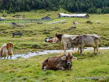 Fino a 100mila euro per trasferirsi in Trentino: ecco i 33 comuni selezionati