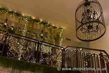 Newcastle's newest restaurant is a fairy light clad food wonderland where diners sit on swings