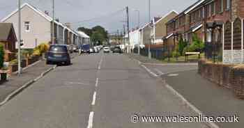 Woman who repeatedly failed to clear up dog poo from own garden ordered to pay thousands