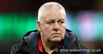 Tonight's rugby news as Gatland linked to top Euro job and Cheika speaks out on future