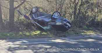 'Traumatised' after swerving off the road and colliding with a signpost
