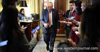 Lefty Groups Demand Schumer's Head After Failure to Shut Gov't Down, Refuse to Budge After Tense Talks