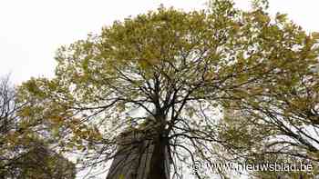 Millegemveld is nu definitief park en bos