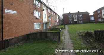 Drugs accused in court after early morning raid on Kenton flat