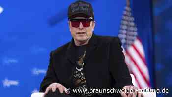 Musk bezahlt Werbung für liberale Richterin – mit einem Haken