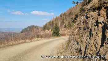 Joggen im Harz: Sandtalrunde durch die Darlingeröder Schweiz im Test