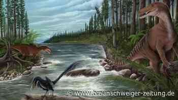 Unbekannte Raubsaurier-Fossilien entdeckt: Forscher verblüfft