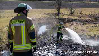 Brand bricht neben Bahnstrecke aus – Zugverkehr gestört