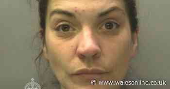 Woman torches house using tea towel soaked in petrol