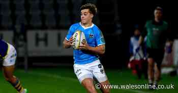 New faces to shake up Wales status quo as contenders emerge for Japan tour