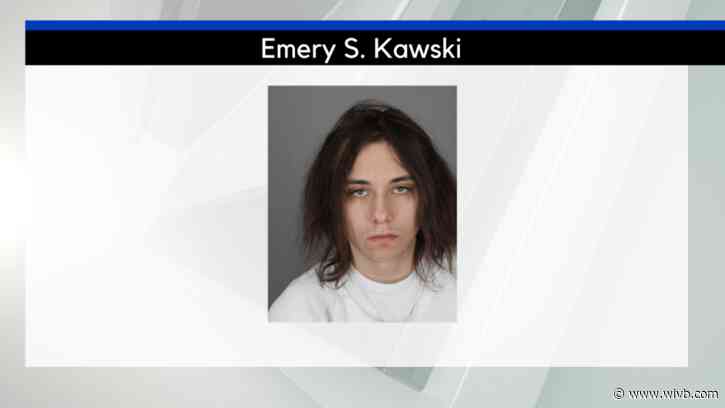 Tonawanda man arraigned on multiple charges for allegedly killing dog