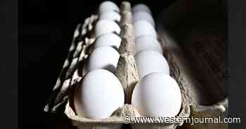 Egg Prices Cratering from Biden Highs as Trump Fulfills Another Promise