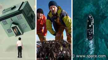 7 excellent Irish sci-fi movies to leave Hollywood green with envy this St. Patrick's Day