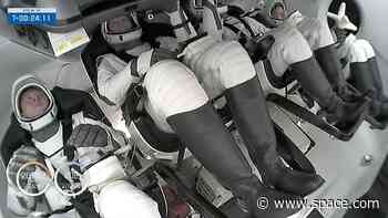 SpaceX Crew-10 folds traits, hopes into origami crane zero-g indicator