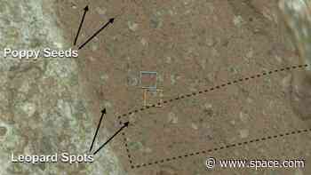 'Poppy seeds' and 'leopard spots' on Mars could hint at ancient microbial life