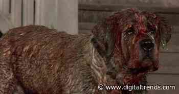 This director is in talks to direct Stephen King’s Cujo for Netflix